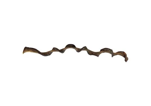 Repto Jungle Wood 95CM