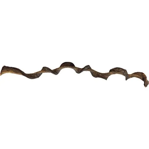 Repto Jungle Wood 95CM