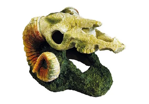 Repto Deco Goat Skull terrariumornament