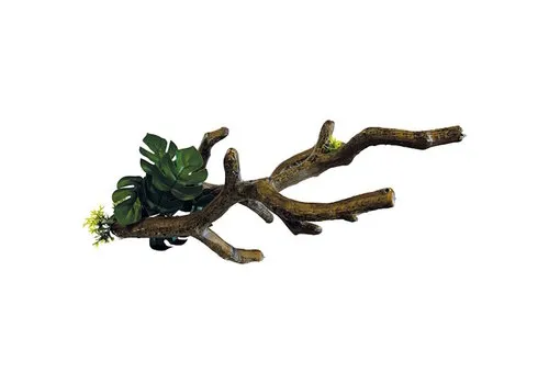 Repto Branch S