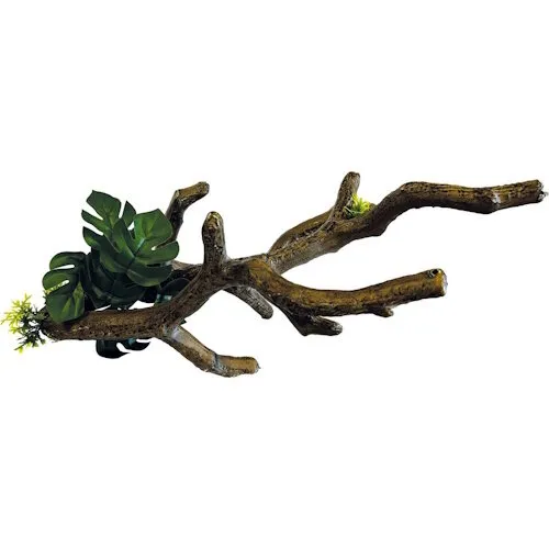 Repto Branch S