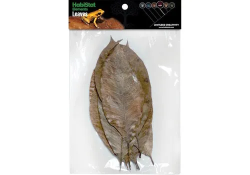 HabiStat Bladeren Rubber 10 Stuks HabiStat Bladeren Rubber 10 Stuks