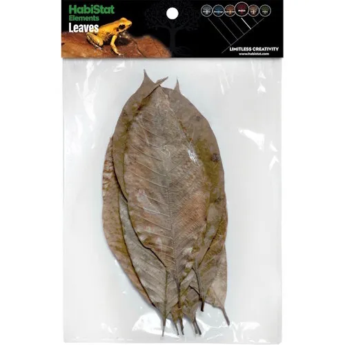 HabiStat Bladeren Rubber 10 Stuks HabiStat Bladeren Rubber 10 Stuks