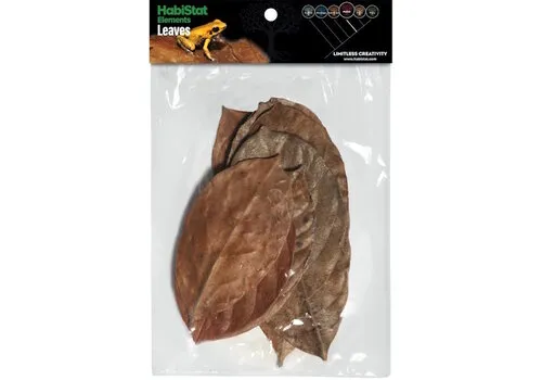 HabiStat Bladeren Jackfruit 10 Stuks HabiStat Bladeren Jackfruit 10 Stuks