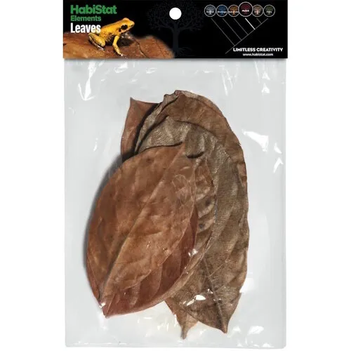 HabiStat Bladeren Jackfruit 10 Stuks HabiStat Bladeren Jackfruit 10 Stuks