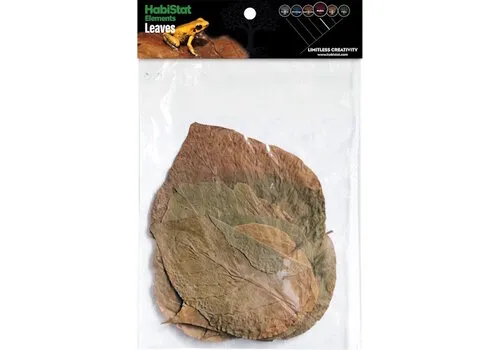 HabiStat Bladeren Dadap 10 Stuks HabiStat Bladeren Dadap 10 Stuks