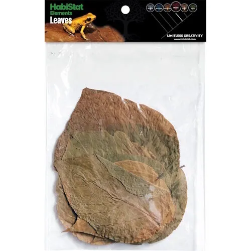 HabiStat Bladeren Dadap 10 Stuks HabiStat Bladeren Dadap 10 Stuks