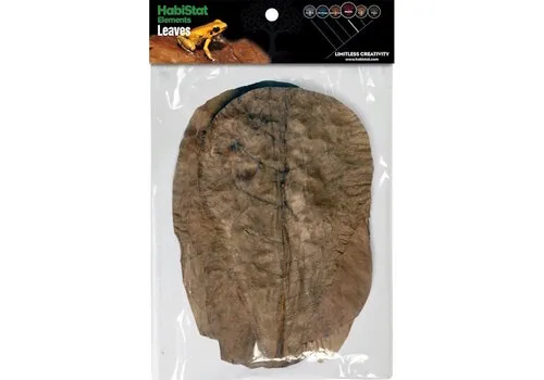 HabiStat Bladeren Catappa 10 Stuks HabiStat Bladeren Catappa 10 Stuks