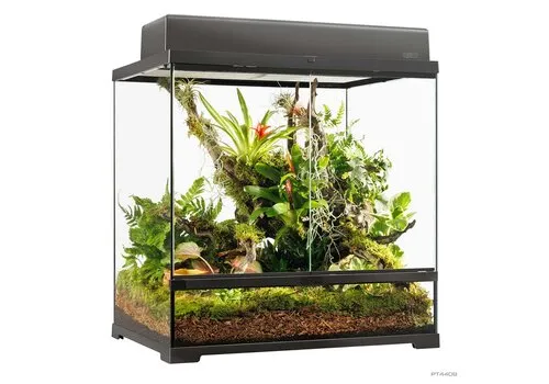 Exo Terra EX Pro terrarium Zwart | 60 x 45 x 60CM Exo Terra EX Pro terrarium Zwart | 60 x 45 x 60CM