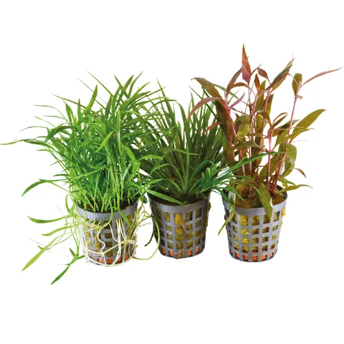 BIOART 3 Stuks Combi-pack 1