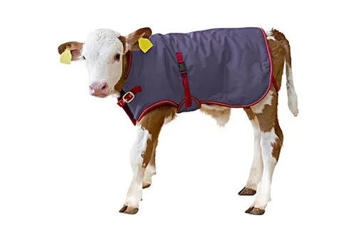 Kerbl Kalverdek ThermoPlus 70CM