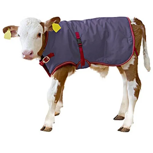 Kerbl Kalverdek ThermoPlus 70CM