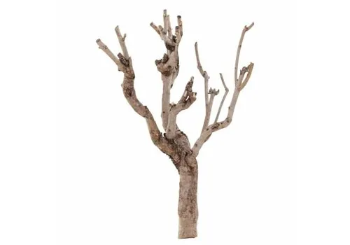 Junai.nl Seringen Hout