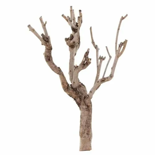 Junai.nl Seringen Hout