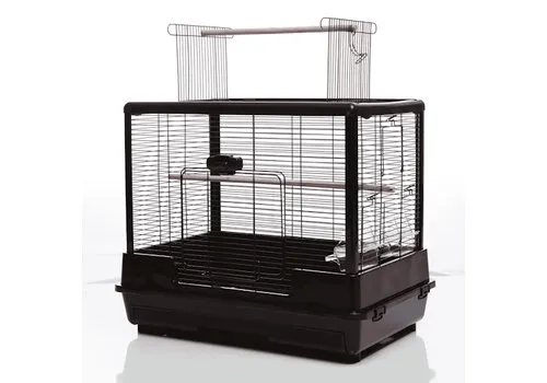 @Pet Vogelkooi Ceasar M