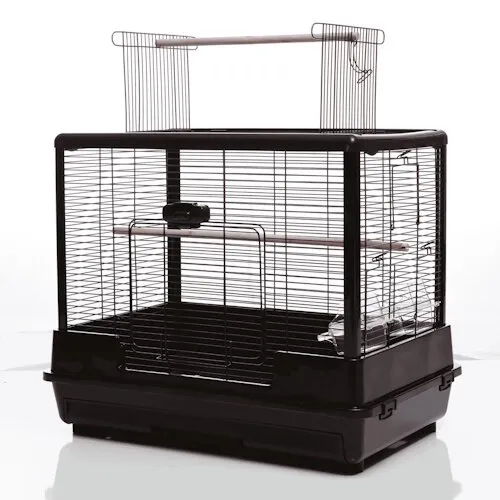 @Pet Vogelkooi Ceasar M