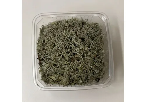 Junavera Zilvermos In Bakje +- 40 gram