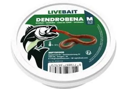 Repto Food Levende Dendrobaena worm M