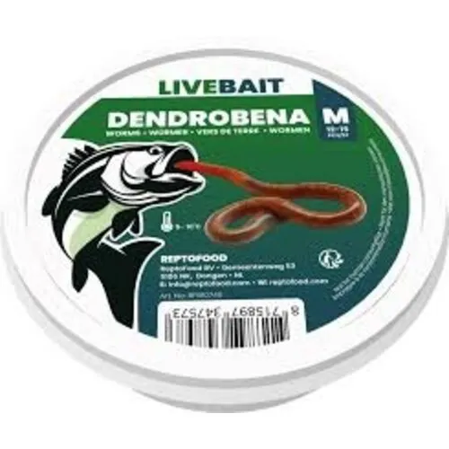 Repto Food Levende Dendrobaena worm M