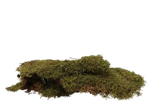 Junavera Ijslandmos Lappen 1 kg