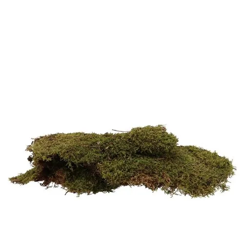 Junavera Ijslandmos Lappen 1 kg
