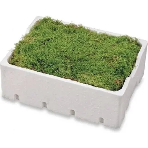 Junai.nl Mos Gemengd in Tempex Box 5 Liter