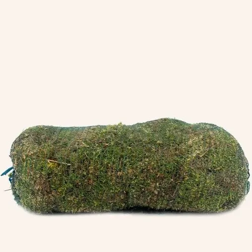 Junai.nl Levend Sphagnum Mos in Net