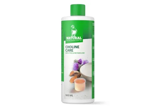 Natural Choline Care 500ML