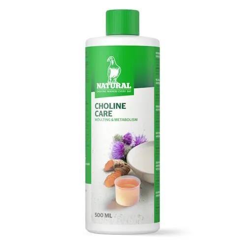 Natural Choline Care 500ML