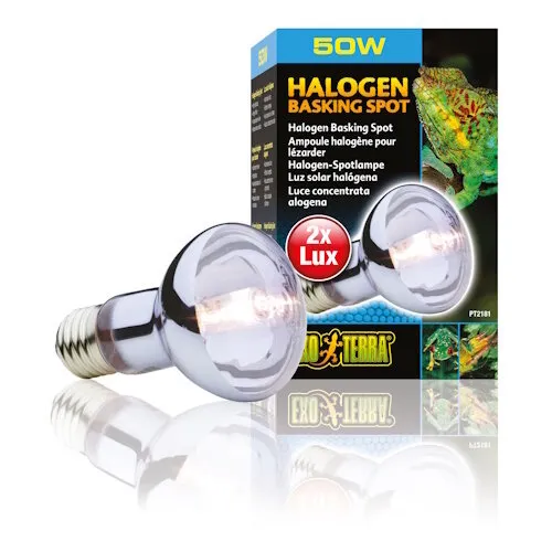 Exo Terra EX Sun Glo Halogeen Daglichtlamp 50 Watt Exo Terra EX Sun Glo Halogeen Daglichtlamp 50 Watt