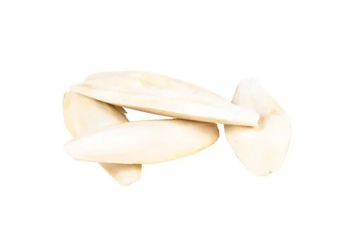 Witte Molen Sepiaschaal 5KG 15-28CM