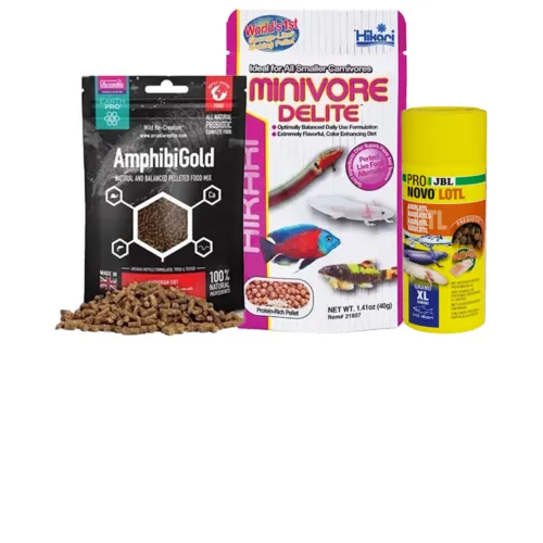 Axolotls En Salamanders