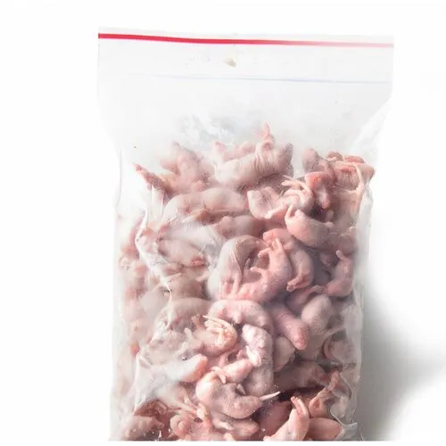 Junai.nl Diepvries baby muis 1–2 gram