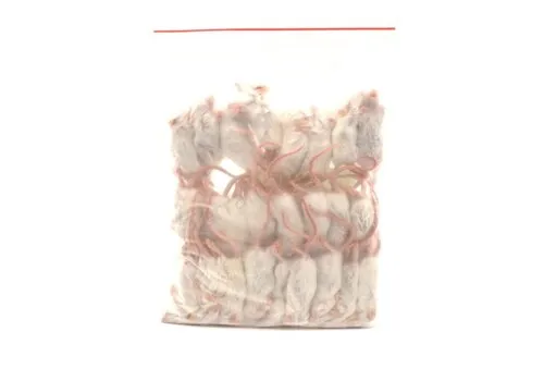 Junai.nl Diepvries muis springer 9–12 gram Junai.nl Diepvries muis springer 9–12 gram