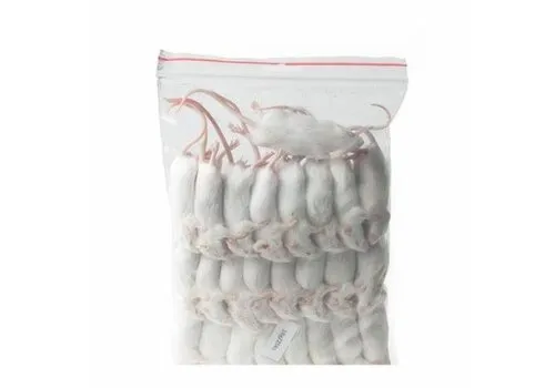 Junai.nl Diepvries muis volwassen 18–25 gram