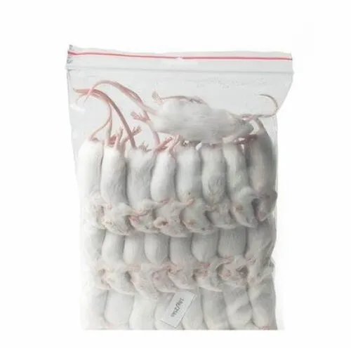 Junai.nl Diepvries muis volwassen 18–25 gram