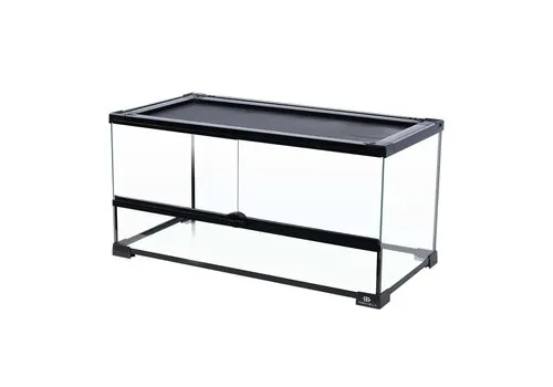 Terra Della Terrarium Glas | 60 x 30 x 30CM