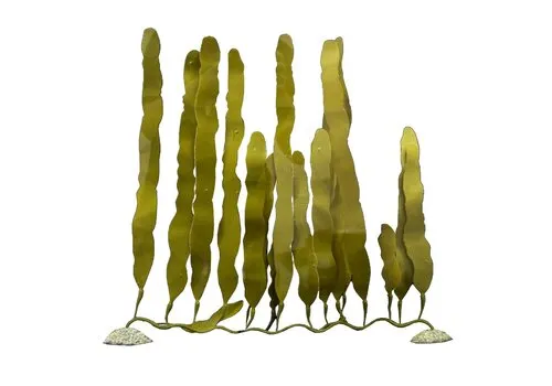 Aqua D'ella Kunstplant Caulerpa Aqua D'ella Kunstplant Caulerpa