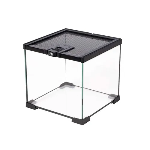 Terra Della Terrarium Glas | 20 x 20 x 20CM