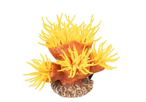 Aqua D'ella Kunstplant Euphyllia Aqua D'ella Kunstplant Euphyllia