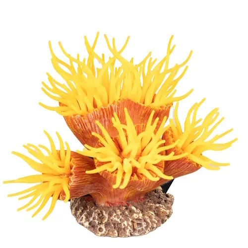 Aqua D'ella Kunstplant Euphyllia Aqua D'ella Kunstplant Euphyllia