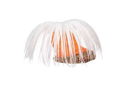 Aqua D'ella Kunstplant Anemoon Cerianthus 16x16x9CM Aqua D'ella Kunstplant Anemoon Cerianthus 16x16x9CM