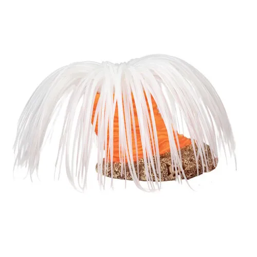 Aqua D'ella Kunstplant Anemoon Cerianthus 16x16x9CM Aqua D'ella Kunstplant Anemoon Cerianthus 16x16x9CM