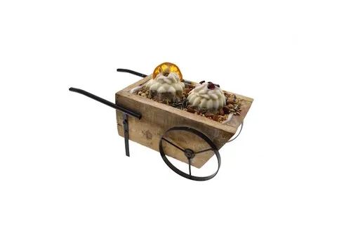 Tweetfeed Vogeltaart in kruiwagen – 29 × 13 × 12 cm