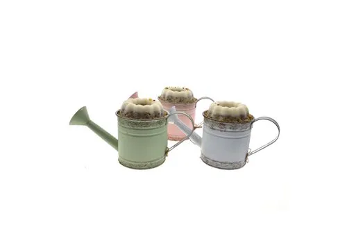Tweetfeed Vogeltaart gieter zink assorti – 25 × 10 cm