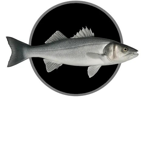 Zeevissen