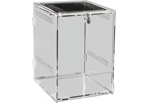 2ekans Repto Terra Clear