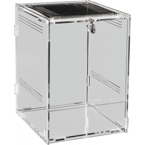 2ekans Repto Terra Clear