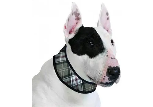 Aqua Coolkeeper Halsband L Scottish Grey