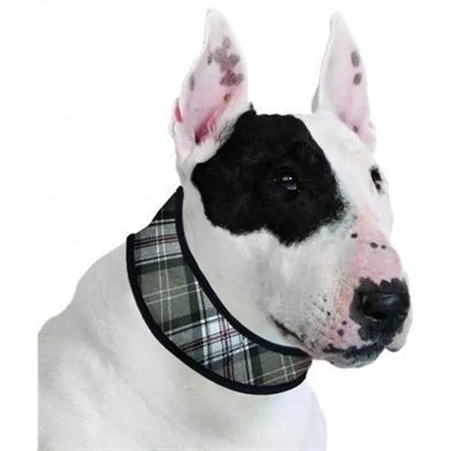 Aqua Coolkeeper Halsband L Scottish Grey